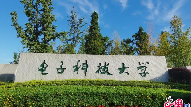 电子加工报价单编写，揭秘背后的关键要素